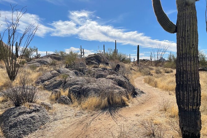 1-2 Hour Sonoran Desert Private Guided Hiking Tour - How a 2-hour private hike hits the right pace