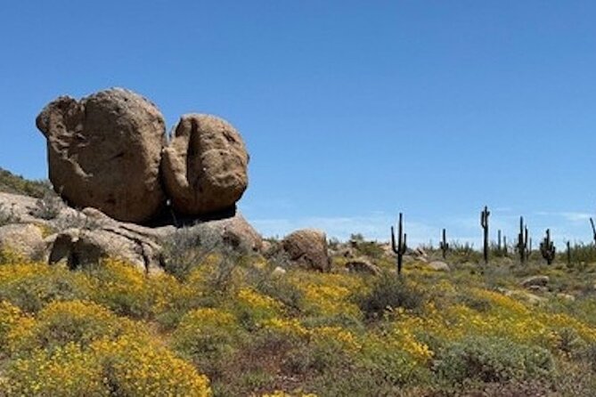 1-2 Hour Sonoran Desert Private Guided Hiking Tour - Price and value: is $70 per person a fair deal?