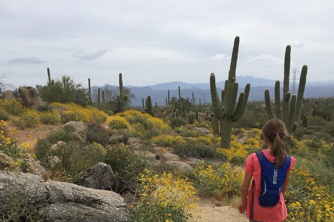 1-2 Hour Sonoran Desert Private Guided Hiking Tour - Pima-Dynamite Trailhead: what the start feels like