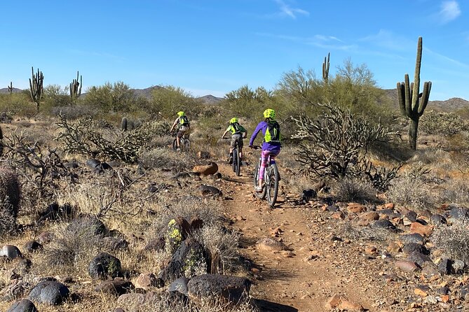 2 Hour Sonoran Desert Private Guided Mountain Bike Tour - Key Highlights You’ll Feel Right Away