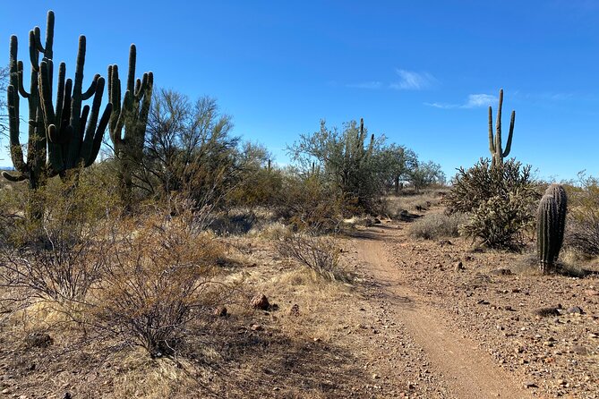 2 Hour Sonoran Desert Private Guided Mountain Bike Tour - Breaks, Water, and the Desert Details You’ll Actually Remember