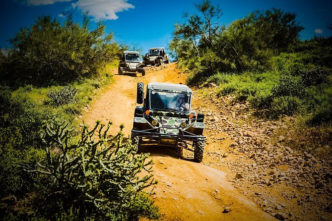 3 Hour Guided TomCar ATV Experience in Sonoran Desert - What you do with the guide (and why it adds value)