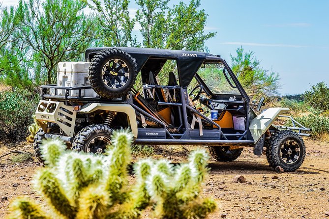 3 Hour Guided TomCar ATV Experience in Sonoran Desert - Price and value: is $236.62 fair for a 3.5-hour tour?
