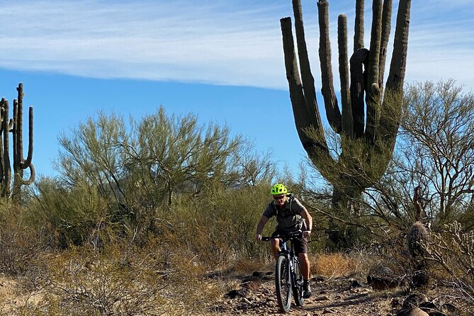 3 Hour Sonoran Desert Private Guided Mountain Bike Tour - The Sonoran Desert, on two wheels (and with a plan)