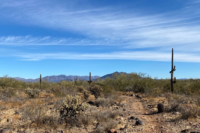 3 Hour Sonoran Desert Private Guided Mountain Bike Tour - The ride itself: what it feels like to pedal through desert trails