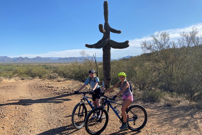 3 Hour Sonoran Desert Private Guided Mountain Bike Tour - Stop-time that actually adds meaning (plants, rocks, and photos)