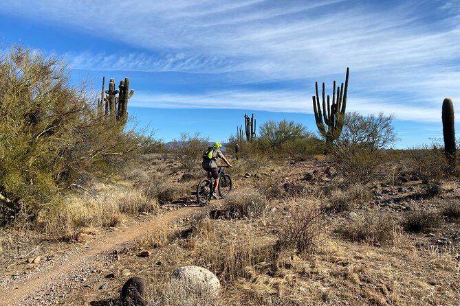 3 Hour Sonoran Desert Private Guided Mountain Bike Tour - Fuel and recovery: snacks, cold drinks, and the wrap-up