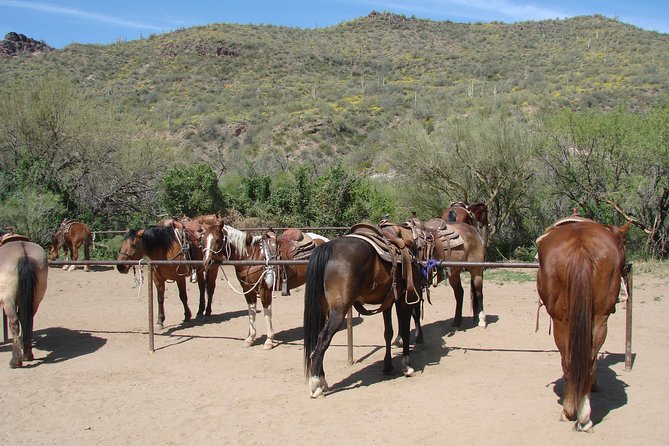 A Day In The Old West Adventure including Horseback Ride and Cowboy Lunch - Saddle Up, Then Play Cowboy: The Big Picture