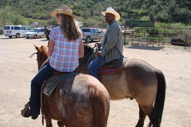 A Day In The Old West Adventure including Horseback Ride and Cowboy Lunch - The Horses: Calm Steeds, Real Safety, and First-Timer Friendly Vibes