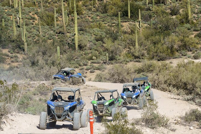 Ancient Ruins Tour - Guided Arizona Desert Tour by UTV - Key points before you book