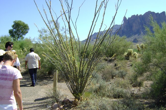 Apache Trail and Dolly Steamboat Van Tour - Price and value: is $160 a fair deal for this mix?
