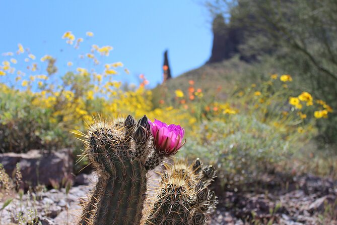 Apache Trail Private Half-Day Tour - Stop 2: Tortilla Flat for Tiny Town Charm and Prickly Pear Ice Cream