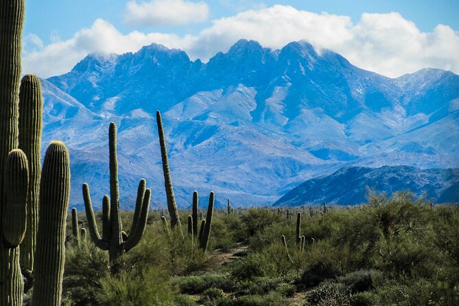 Apache Trail Private Half-Day Tour - Stop 4: Fish Creek for the Grand Canyon of the Superstition Mountains Feel