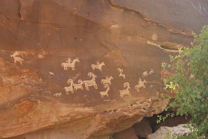 Apache Trail Private Half-Day Tour - Your Guide Makes the Difference: How David’s Style Shows Up