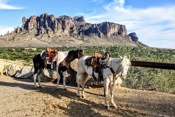 Apache Trail with Dolly Steamboat - The Dolly Steamboat on Canyon Lake: The 90 Minutes Most People Remember