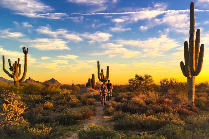 Arizona Desert Guided E-Bike Adventure - Key highlights you’ll feel fast