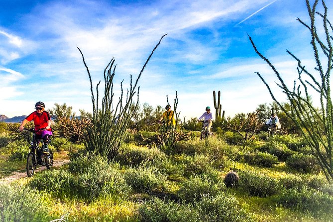 Arizona Desert Guided E-Bike Adventure - Who This Tour Is For (and Who Should Think Twice)