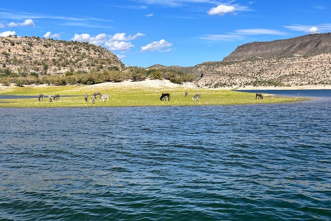 Boat Tour in Lake Pleasant, Arizona - Lake Pleasant From the South Ramp: What This Ride Feels Like