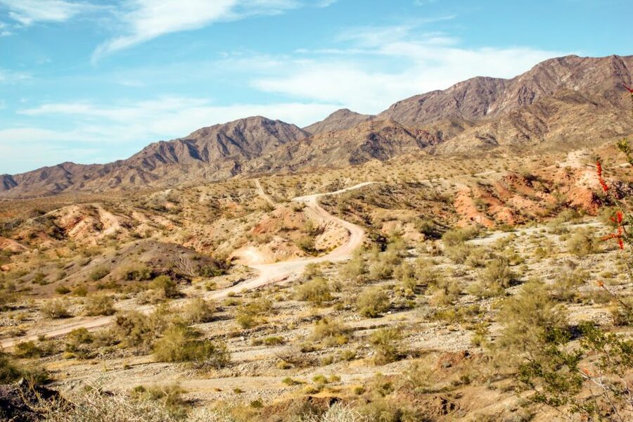 Box Canyon and Pinal Mountains Half-Day ATV Tour - Florence-area ATV time: why this tour hits the sweet spot