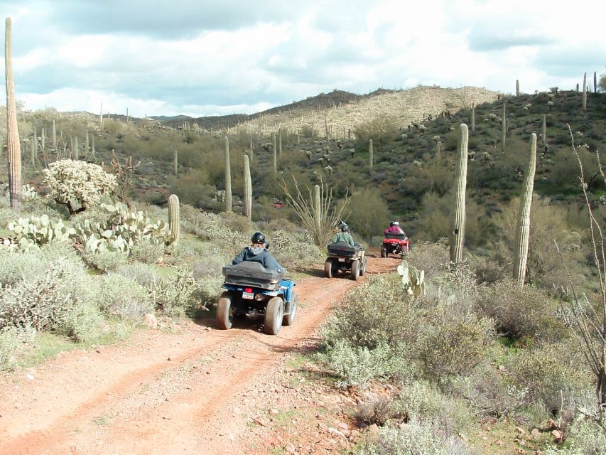 Box Canyon and Pinal Mountains Half-Day ATV Tour - Pinal Mountains dirt trails: climbs, rhythm, and real desert views