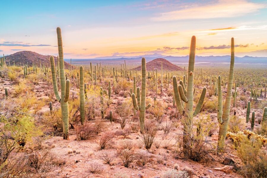 Box Canyon and Pinal Mountains Half-Day ATV Tour - From the trailhead to your first bumps: safety and training that actually help