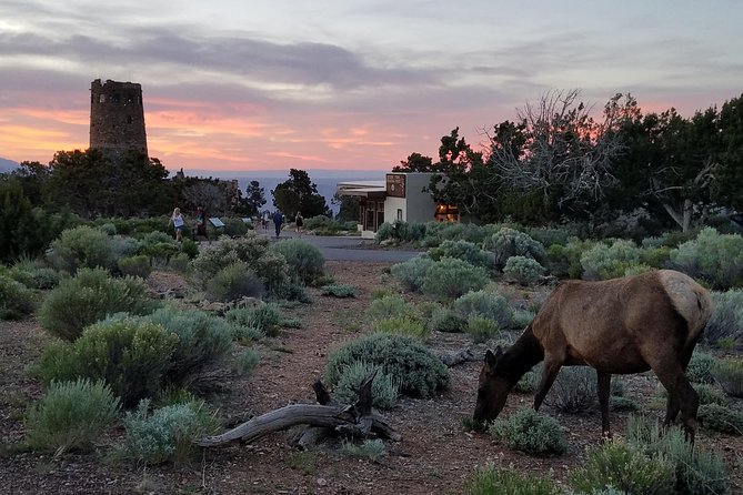 Custom Grand Canyon Day Trip - The drive to the South Rim: stops that actually add value