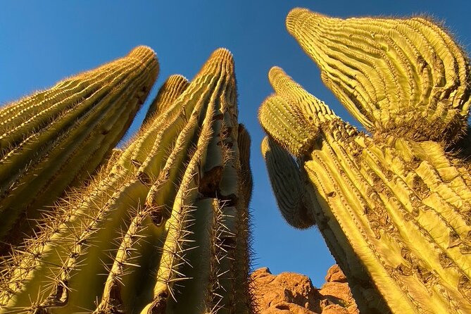 Epic Camelback Mountain Guided Hiking Adventure in Phoenix, Arizona - Echo Canyon Trailhead start: the moment you stop guessing