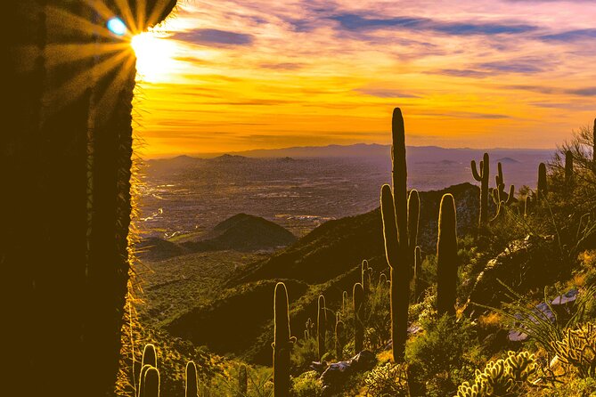 Exclusive: Happy Cactus Tour to Apache Trail & Superstition Mtn - Goldfield Ghost Town: western fun with optional upgrades