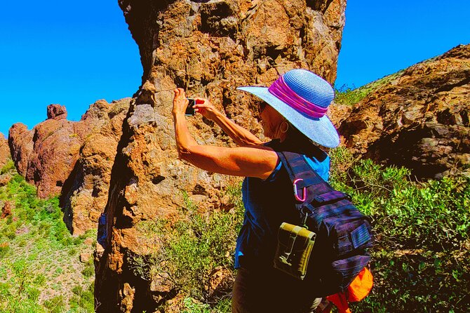 Exclusive: Happy Cactus Tour to Apache Trail & Superstition Mtn - The cactus and plant learning you’ll actually use later