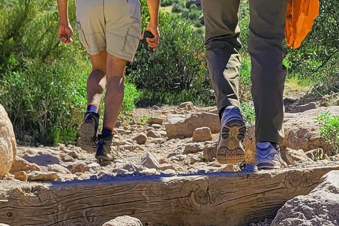 Exclusive: Happy Cactus Tour to Apache Trail & Superstition Mtn - Price and value: what $125 really buys you