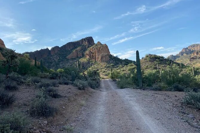 Four Peaks Off-Road Adventure Tour - What the reviews emphasize (and what you should watch for)