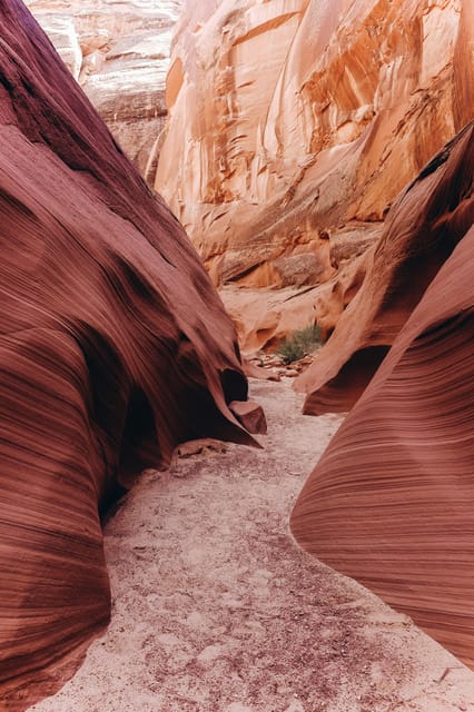 From Phoenix: Antelope Canyon and Horseshoe Bend Day Tour - Key Highlights You’ll Care About
