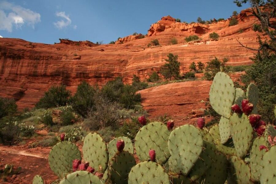 From Phoenix: Full-Day Sedona Small-Group Tour - Small-Group Comfort in a 9 or 13-Seat Van