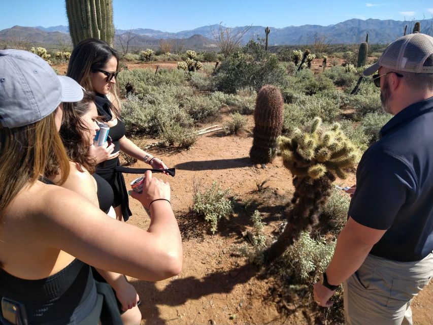 From Scottsdale: Sonoran Desert & Tonto National Forest Trip - The desert walk: cacti, desert facts, and wildlife you might spot