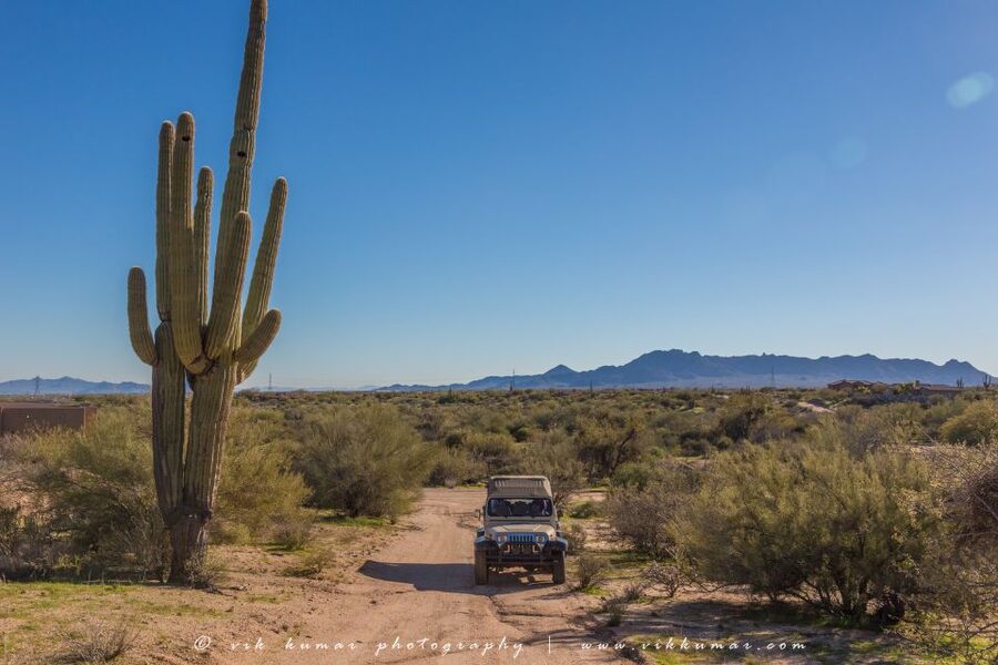 From Scottsdale: Sonoran Desert & Tonto National Forest Trip - The jeep ride: the best way to see the golden horizon