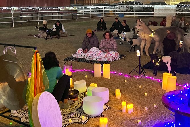 Goat and Alpaca Sound Bath - Gilbert Arizona - Price and value: is $30 worth it?