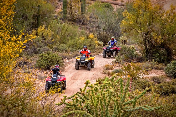Guided Arizona Desert Tour by ATV - Centipede Tour - Key takeaways before you book