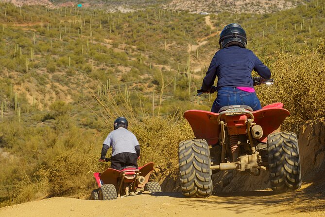 Guided Arizona Desert Tour by ATV - Centipede Tour - Agua Fria River Valley and crossings: where the scenery clicks into place