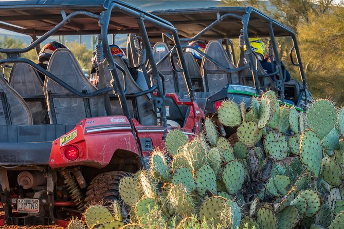 Guided Arizona Desert Tour by UTV - Centipede Tour - What You’ll Actually Learn: Plant Clues, Native Farming, and Local History