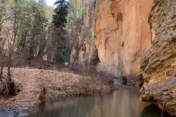 Guided backpacking and hiking trip on Arizona’s Mogollon Rim - Camp life on the Mogollon Rim: your time for swimming, fishing, and birding