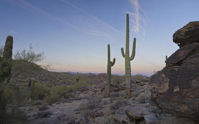Guided Desert Sunrise or Evening/Sunset 2-Hour Hike at South Mtn - Entering South Mountain Park: why this hike feels different