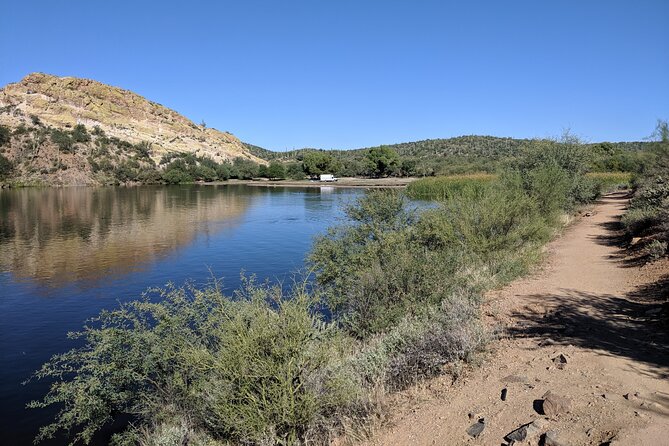 Guided Hike: Saguaro Lake View - Desert wildlife and the plants you can actually identify