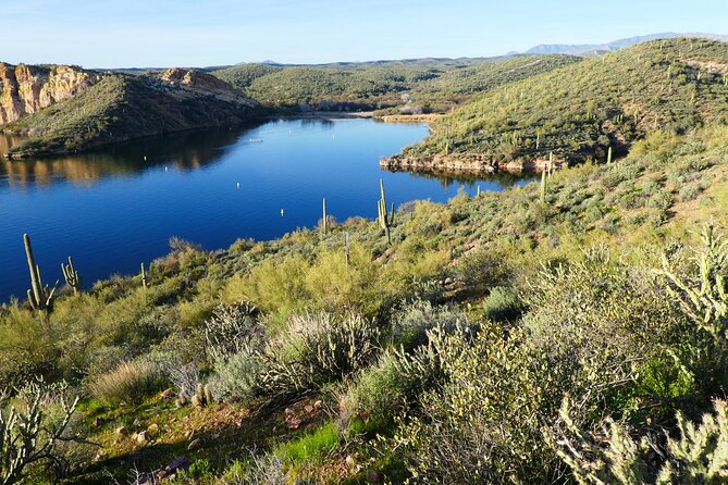 Guided Hike: Saguaro Lake View - Price and value: why $95.46 can make sense here