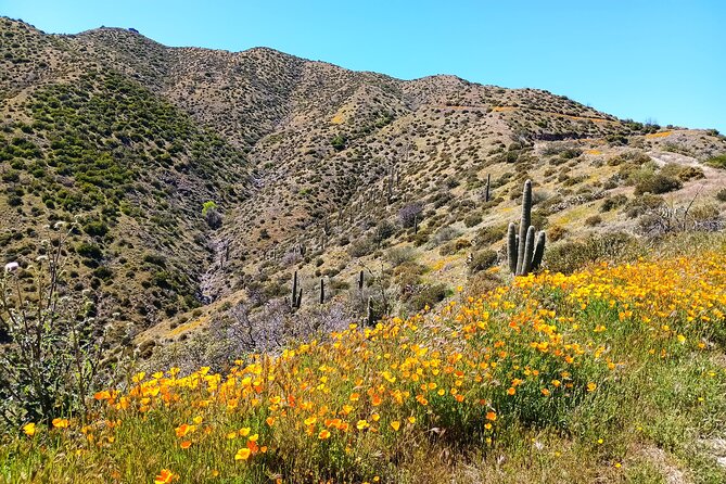 Historic 1880's Gold Mine Jeep Adventure near Scottsdale Phoenix - What You Get for $195: Value That Makes Sense