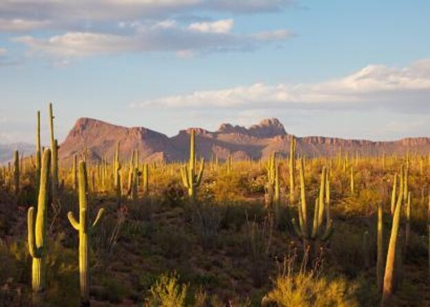 Incredible Hidden Valley Guided Hike in Phoenix, Arizona - Key Things That Make This Hike Worth Your Time