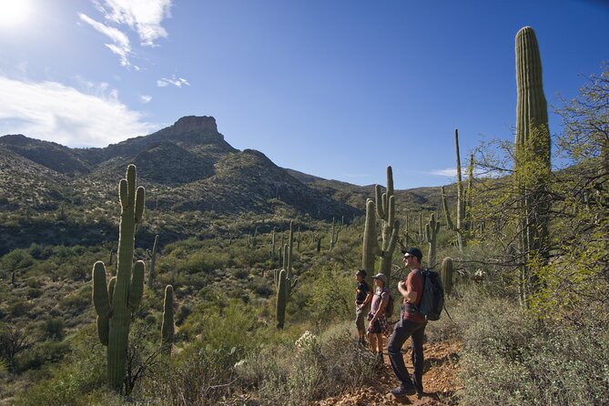 Incredible Hidden Valley Guided Hike in Phoenix, Arizona - South Mountain Park Starts the Day (Mormon Trailhead, Then Up)