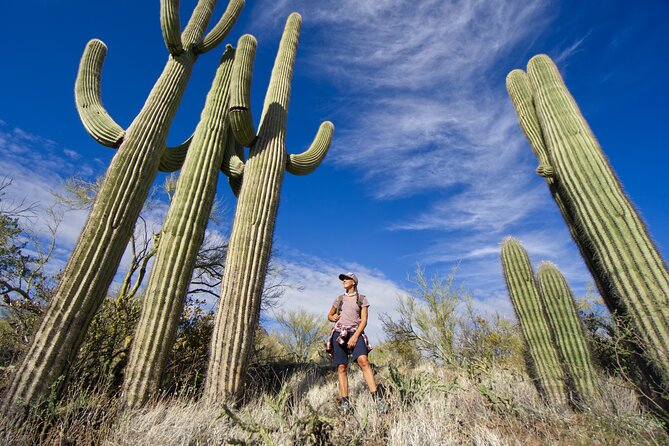 Incredible Hidden Valley Guided Hike in Phoenix, Arizona - Value Check: Is $145 Worth It for a Private 4-Hour Hike?