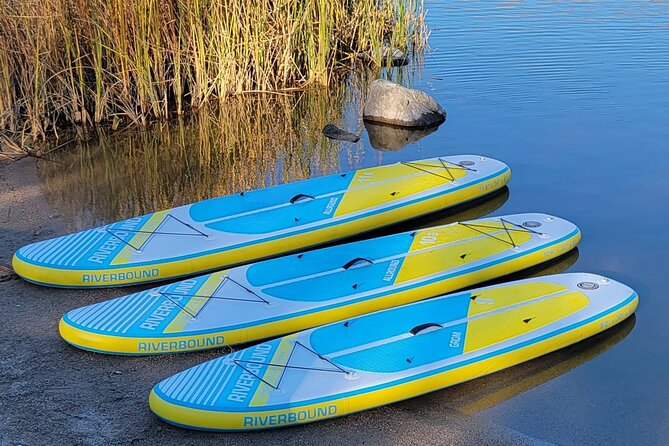 Inflatable Paddleboard Full-Day Rental - Transportation required - Tempe Launch Choice: Saguaro, Canyon Lake, Salt River, and City Lakes