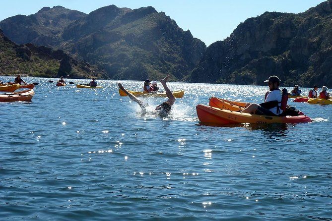 Kayaking 2 Hr Canyon & Cliffside on Saguaro Lake - Wildlife spotting: the best moments happen when you slow down