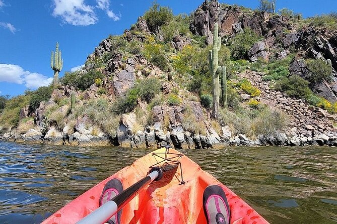 Kayaking 3 Hr Canyon & Cliffside on Saguaro Lake - Single Sit-On Kayaks and Paddleboards: Stability, No Doubles, and Weight Limits